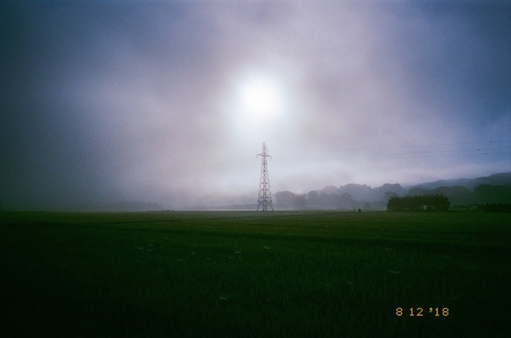 早朝の電柱の写真